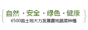 自然、安全、綠色、健康